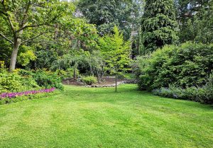 Optimiser l'expérience du jardin à Sainte-Marie-en-Chanois